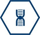 xk星空体育