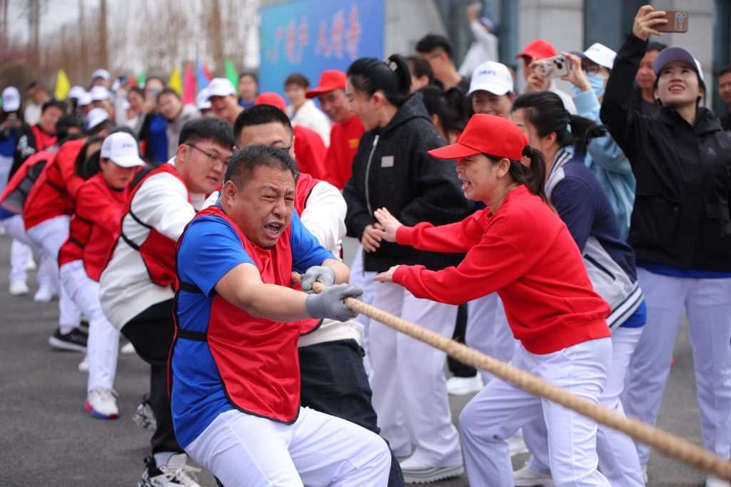 公开信息按发布时间滚动